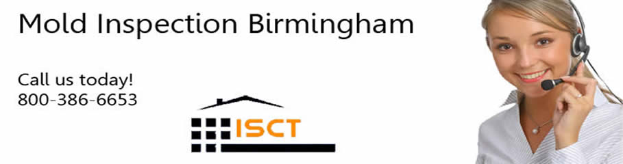 Mold Testing and Mold Inspection Birmingham, AL